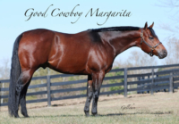 CasaCielos-Good-Cowboy-Margarita-gallery3